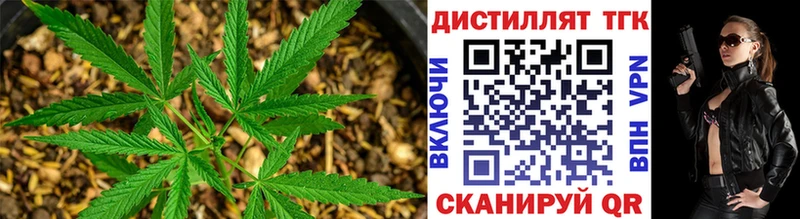 Дистиллят ТГК THC oil  Грозный 