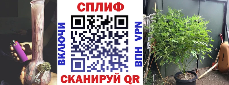 Бошки Шишки SATIVA & INDICA  Грозный 